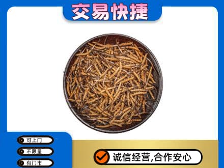 薛城区回收散虫草